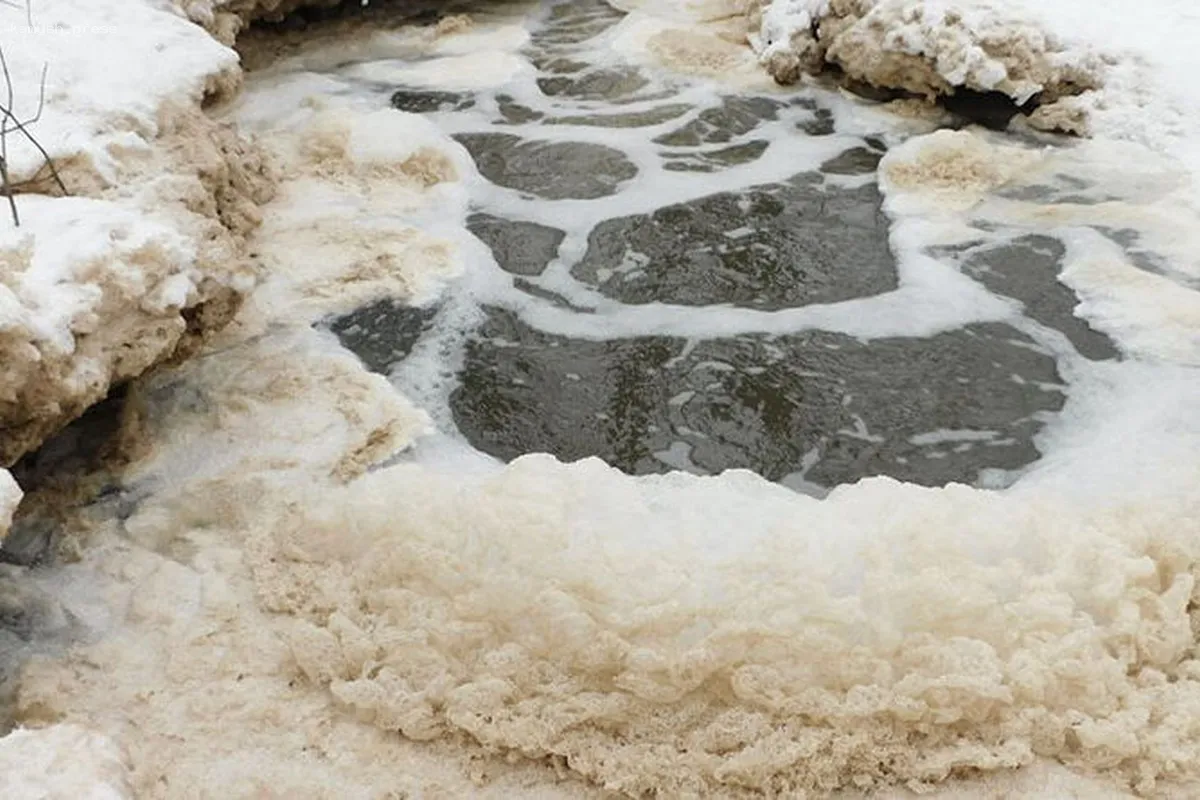 Суд в Тамбове потребовал от сахарного завода возместить ущерб за загрязнение реки