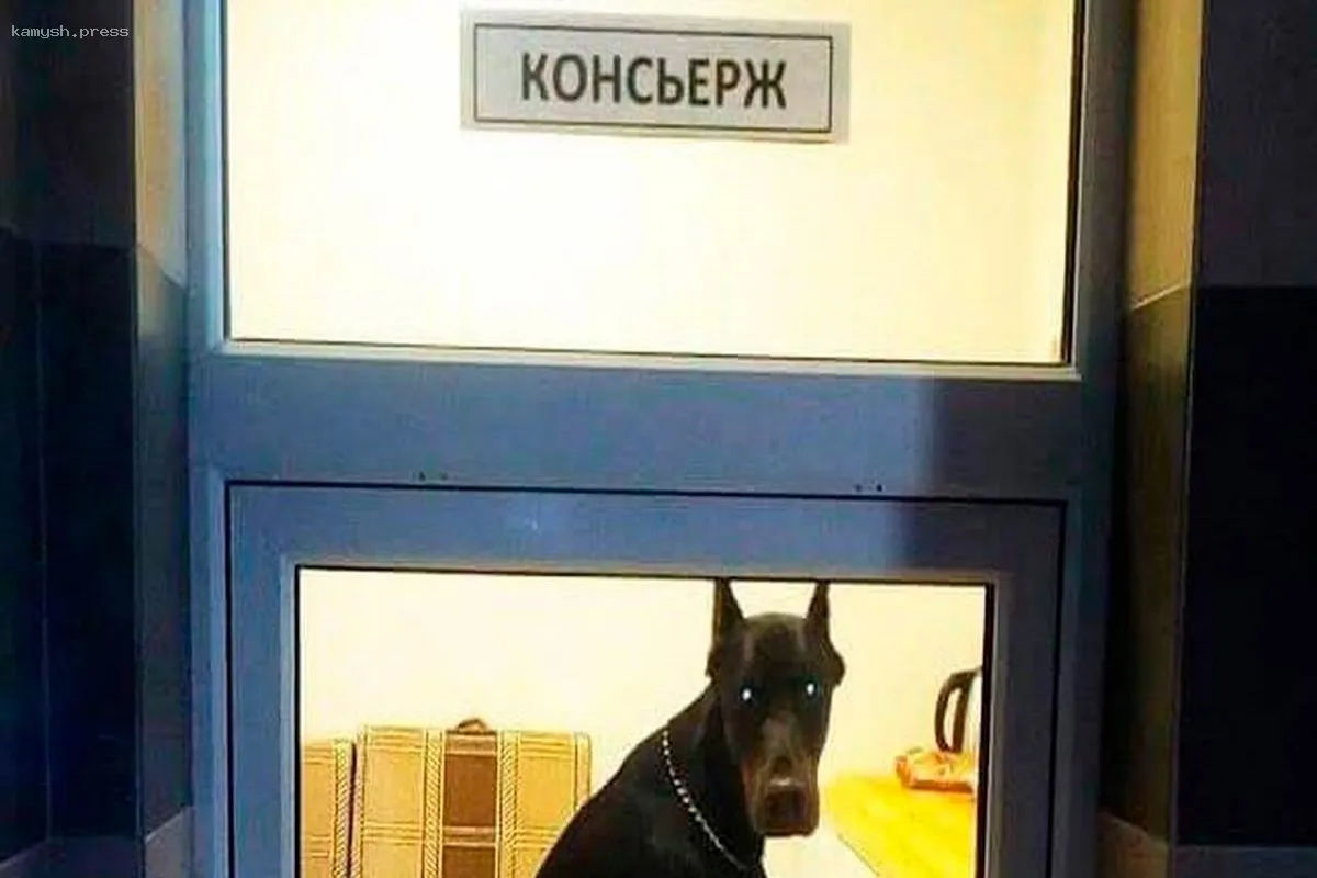 Доцент Осянин: необязательные коммунальные услуги не подлежат оплате