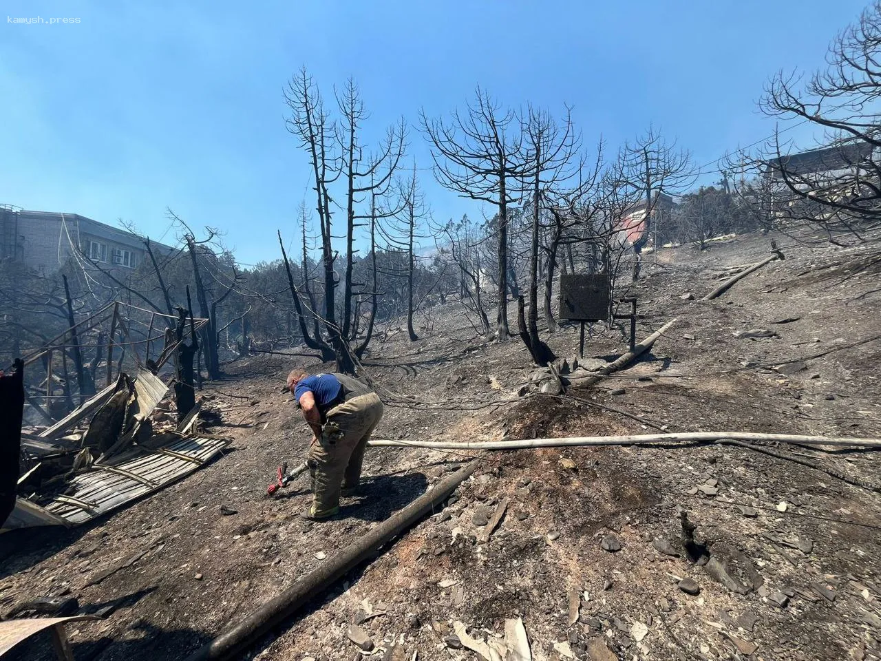 В Краснодарском крае подсчитали ущерб от лесного пожара в районе Новороссийска