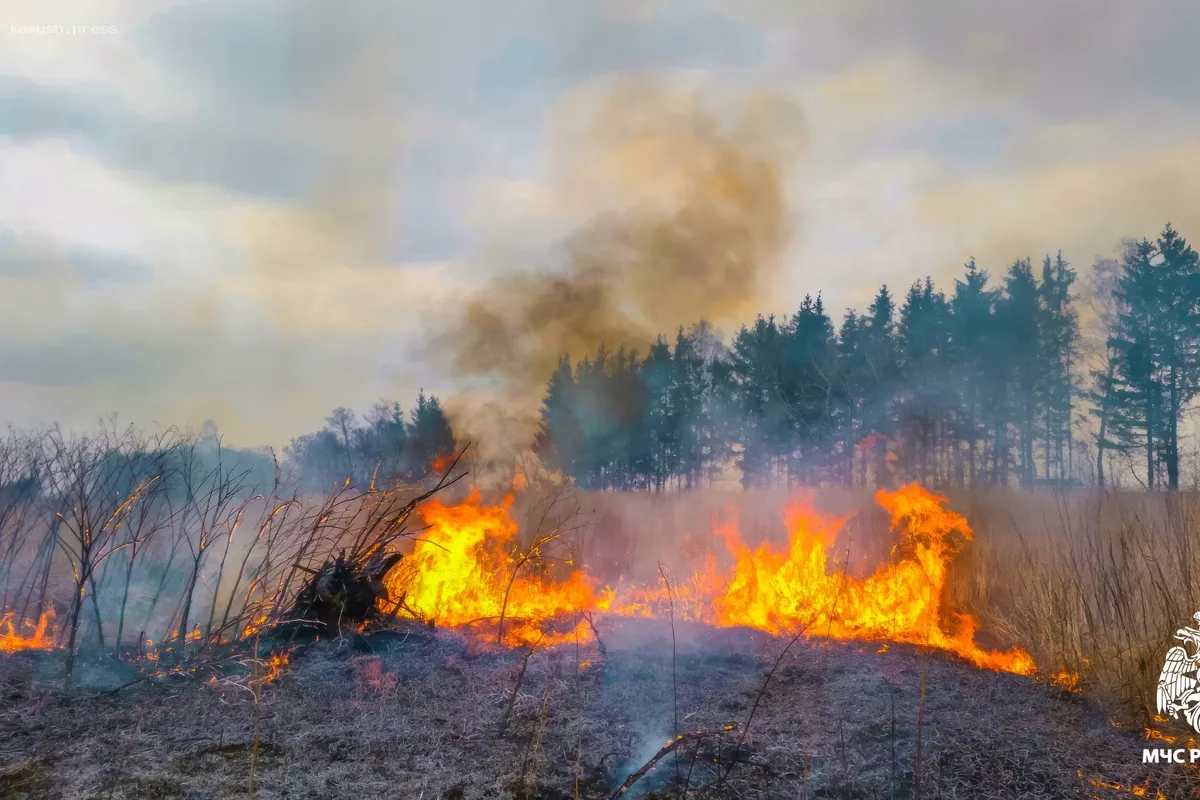 В Липецкой области за выходные зарегистрировано 39 случаев возгорания травы