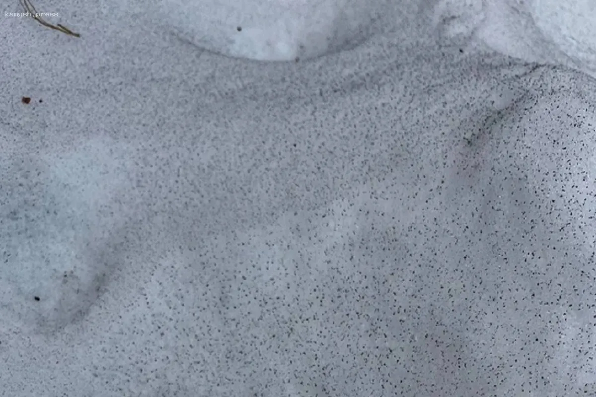 Омчане сообщили о пепле и неприятном запахе в воздухе