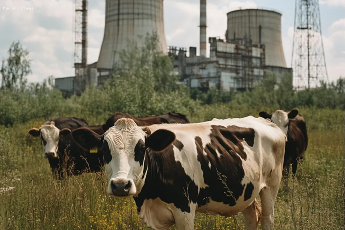 Дикие коровы и «защищенные» черви: как изменяется фауна в чернобыльской зоне?