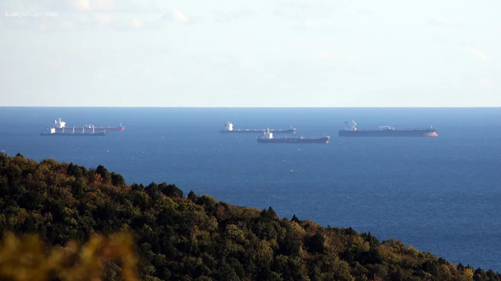 RS обвиняет страны Европы в подрывных действиях против российско-американского перемирия в Черном море