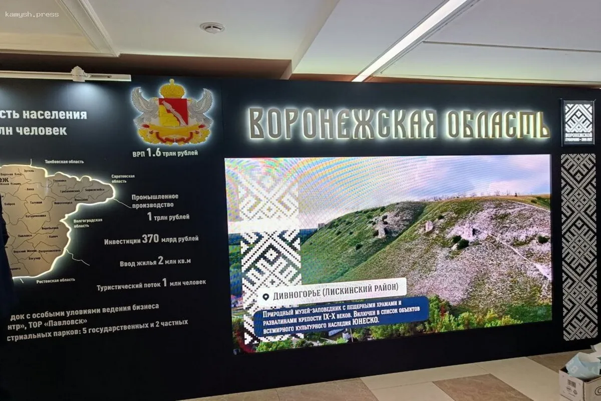 В Совете Федерации Воронежская область представит 11 инициатив в рамках своих Дней