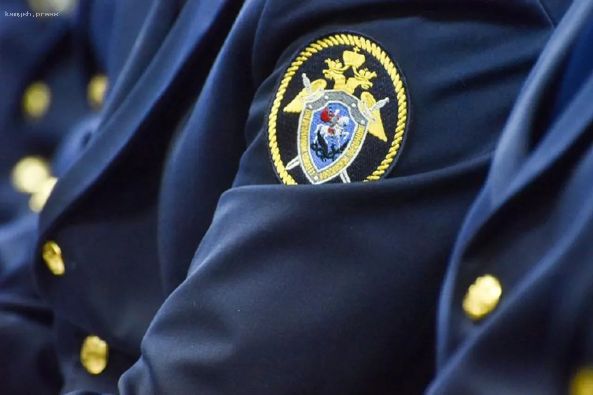 Жители Жуковского обратились в СК с просьбой разъяснить ситуацию с вырубкой деревьев на улице Гагарина