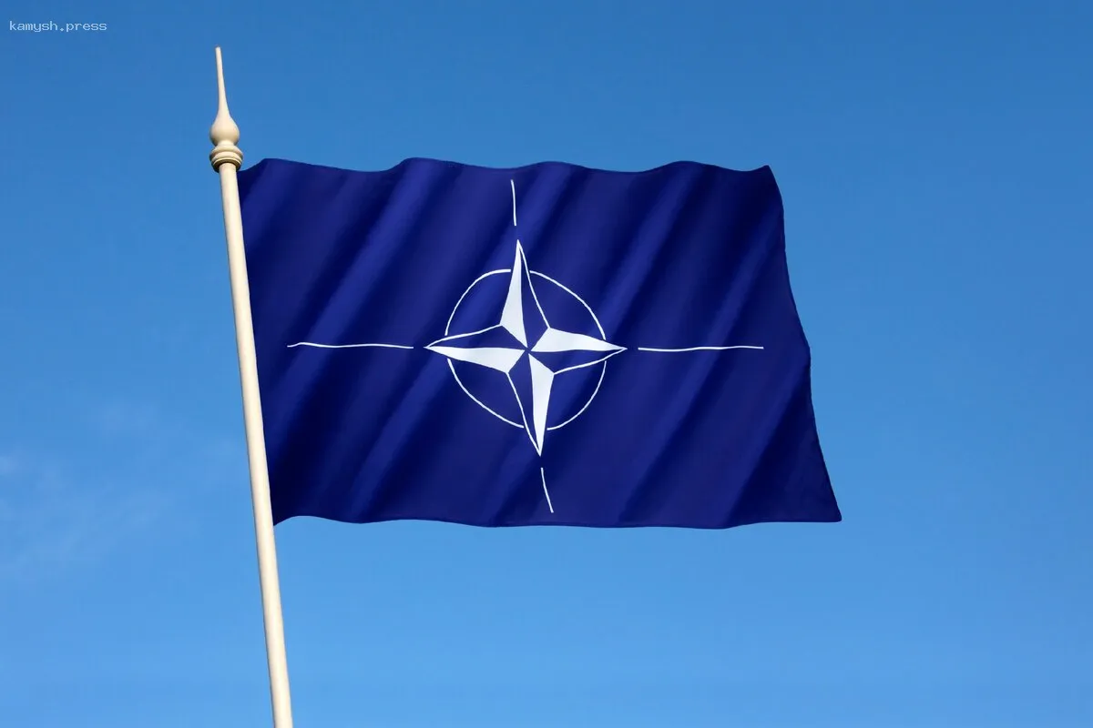 Турецкий политик Сефа высказался о реакции Европы на возможный выход США из НАТО