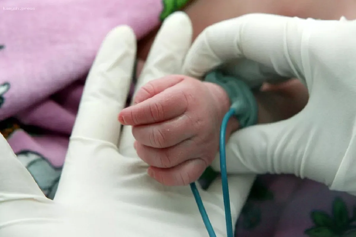 Росстат обнародовал данные о падении рождаемости в Волгоградской области