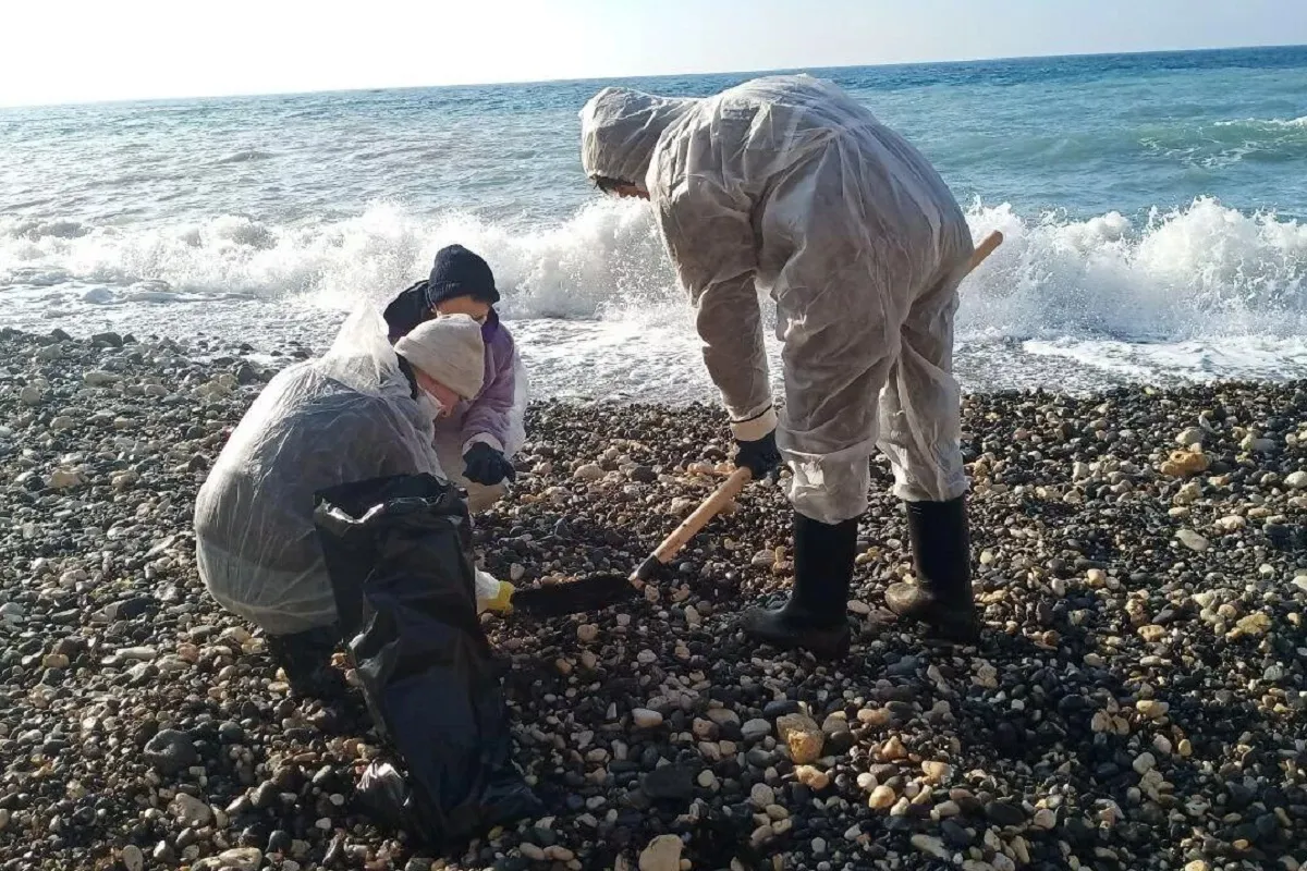 Решение о возобновлении работы пляжей Анапы будет принято после анализа Роспотребнадзора