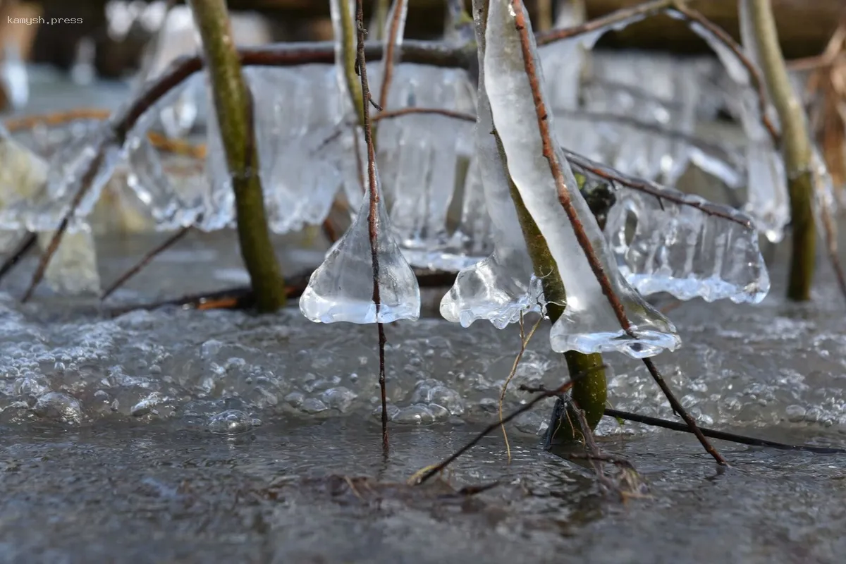 Установлено, насколько серьезно пострадал возможный урожай фруктов от апрельских холодов