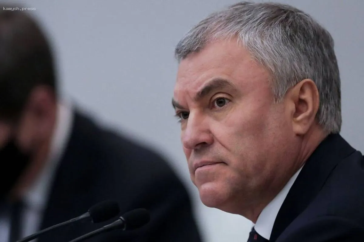 Володин: Всего 27 детей мигрантов из 1762 успешно прошли отбор в школы по новым критериям