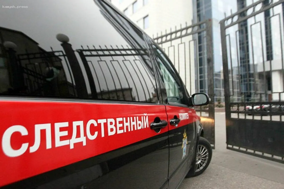Задержаны сообщники отца, похитившего сына в Новосибирске