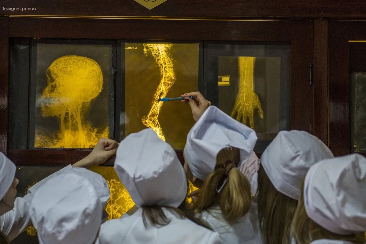 В Госдуме обсудят законопроект о финансовых поддержках для студентов медицинских вузов