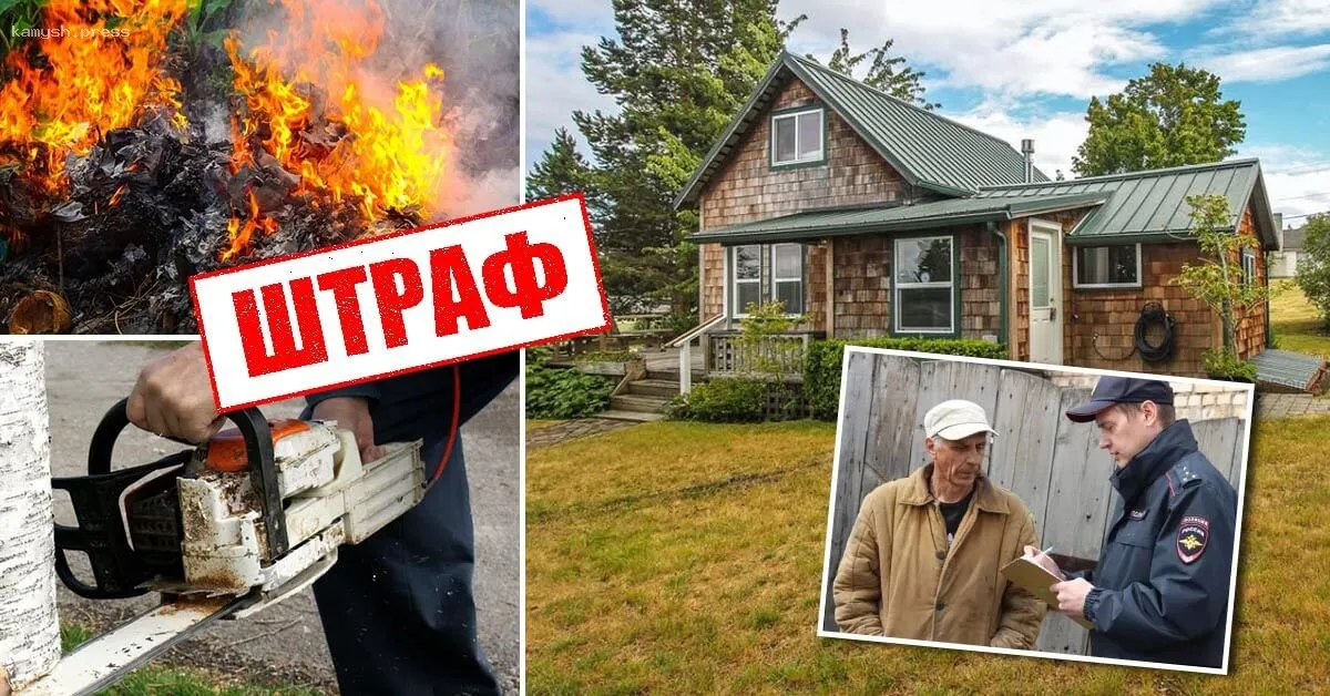 Штраф! Мало? Еще штраф! Что больше нельзя делать на даче