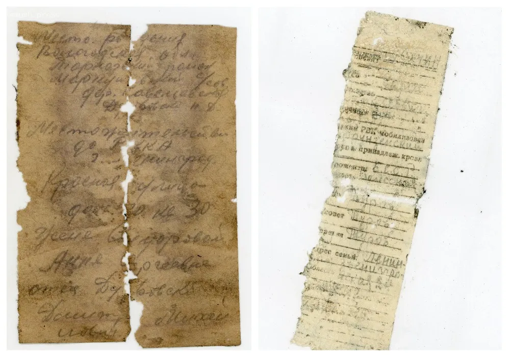 Поисковики из Новосибирска нашли останки 87 солдат, погибших в Великой Отечественной войне