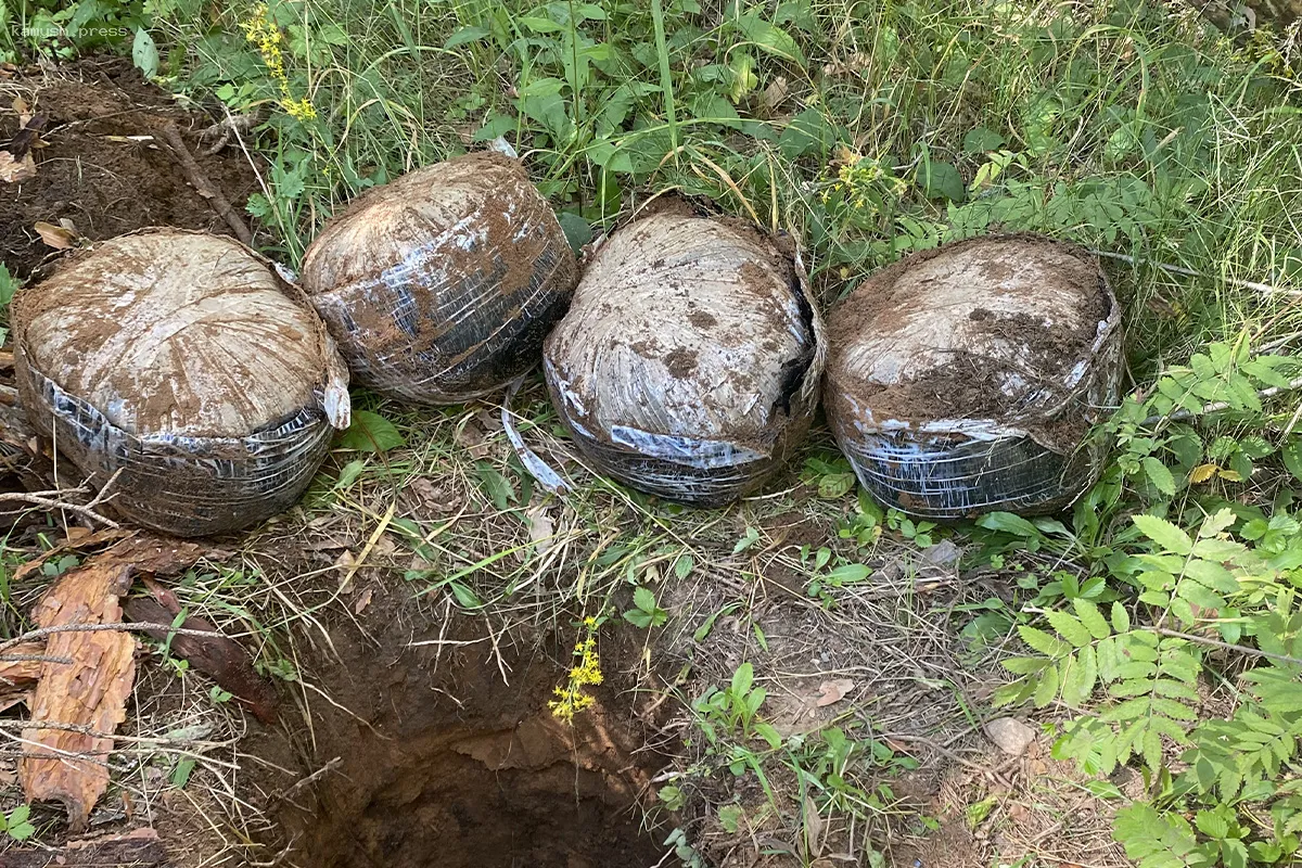 В Псковской области осуждён участник масштабной интернет-сети наркоторговцев