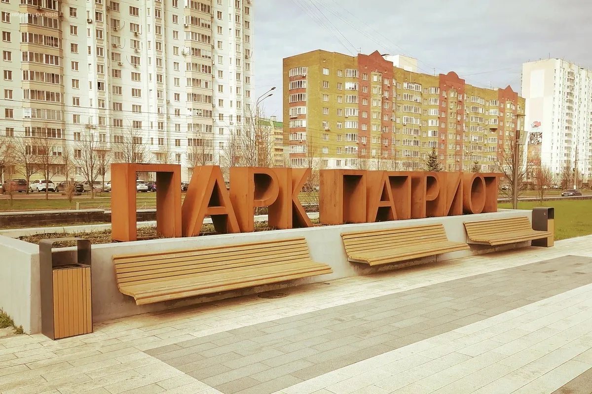 Курский чиновник, назначенный на уборку в парке, инициирует субботник