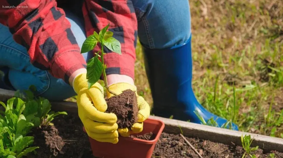 Стало известно о пяти самых востребованных профессиях перед летним сезоном