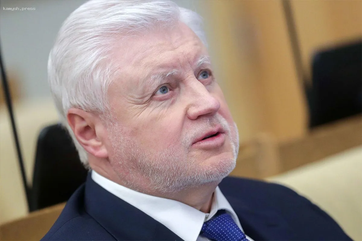 Миронов одобрил создание родительских патрулей в Архангельской области