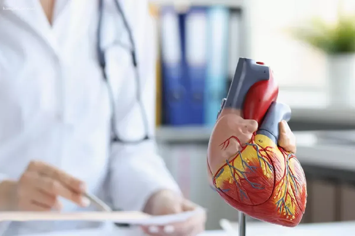 В России разработан инновационный метод диагностики сердечной недостаточности