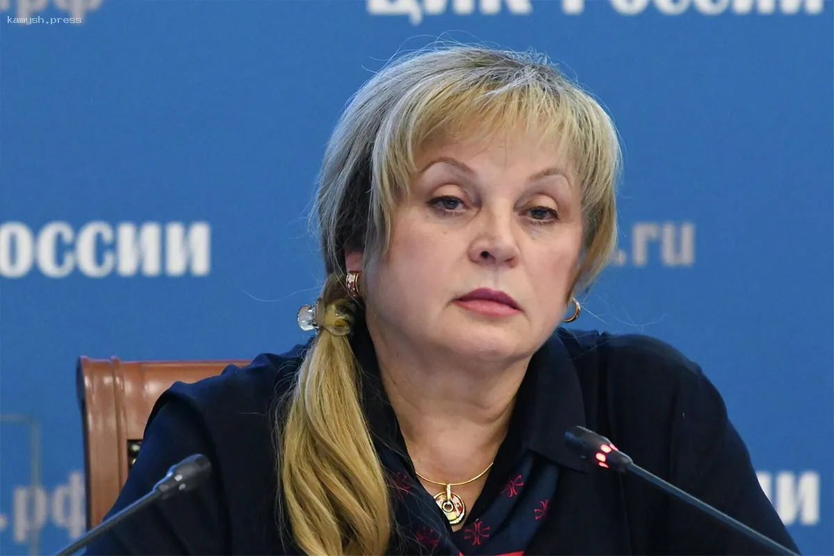 СБУ начала розыск Эллы Памфиловой