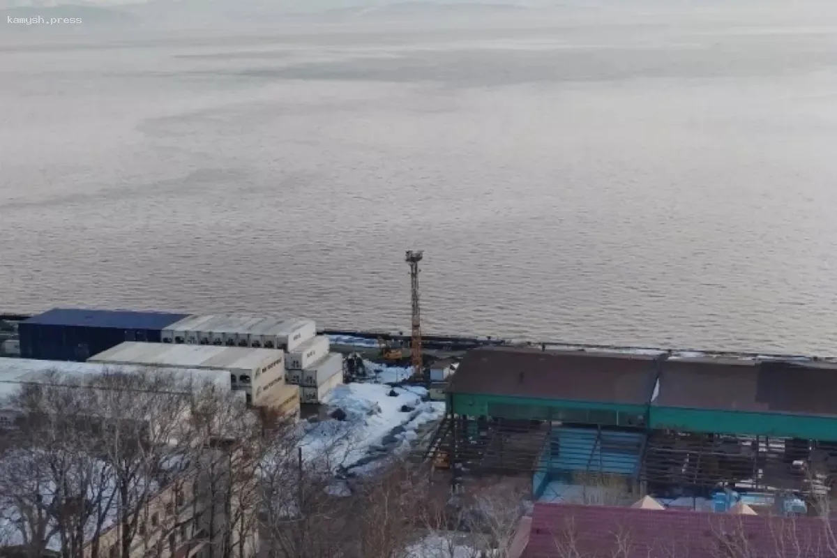 Установлена причина изменения окраски воды в Авачинской губе