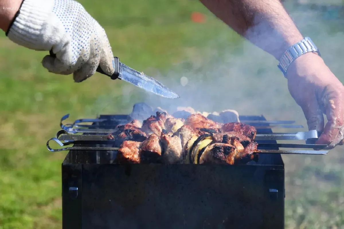 В Новосибирской области введён запрет на разведение огня в лесных массивах