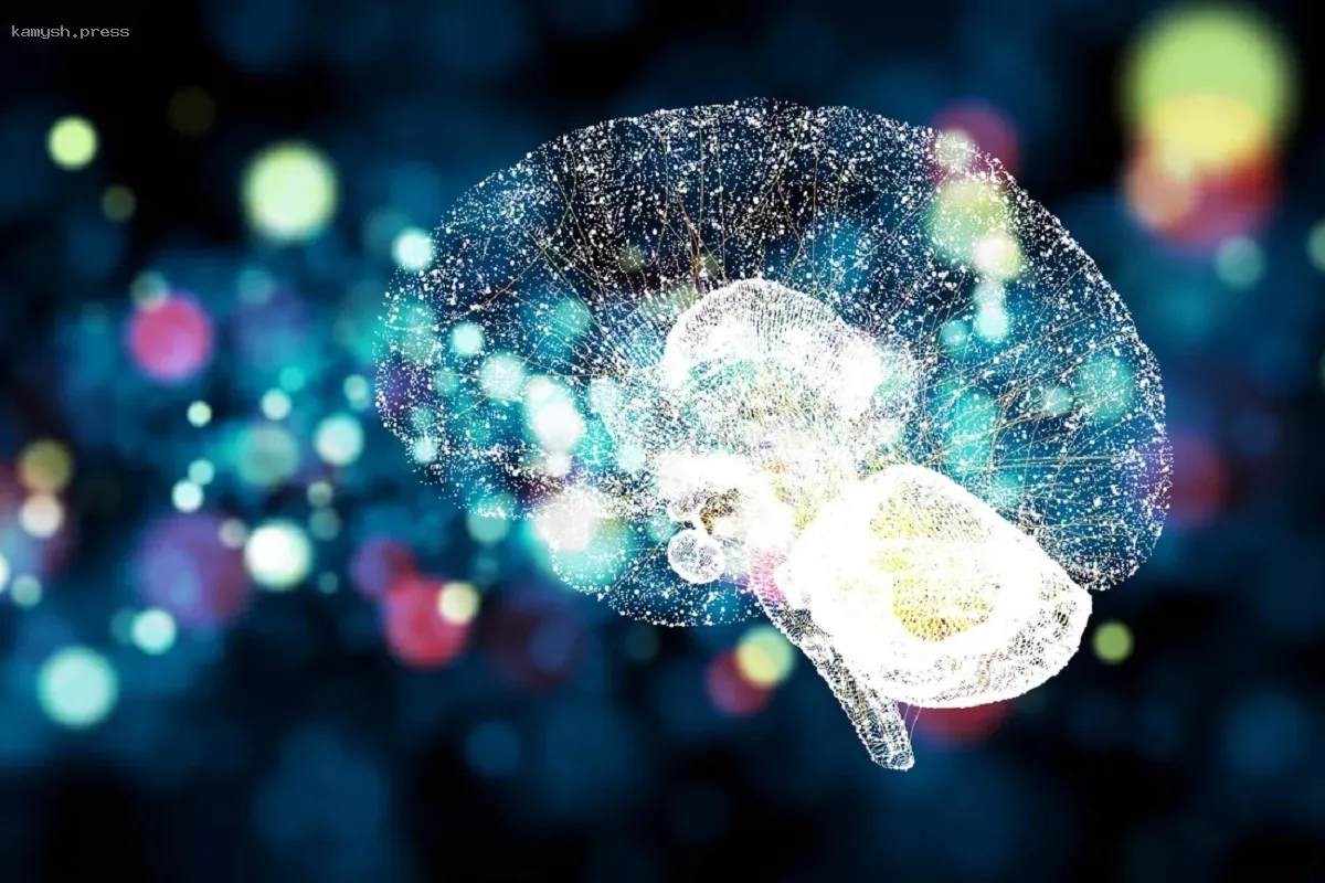 Медики смогут оценивать состояние здоровья с помощью носимых гаджетов с ИИ