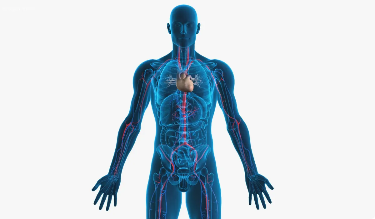 Диетолог Соломатина раскрыла необычные аспекты человеческого организма