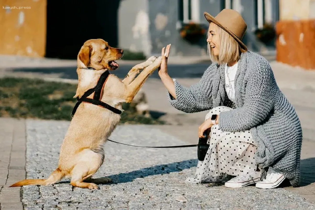 Ученые изучили роль собаки в жизни человека