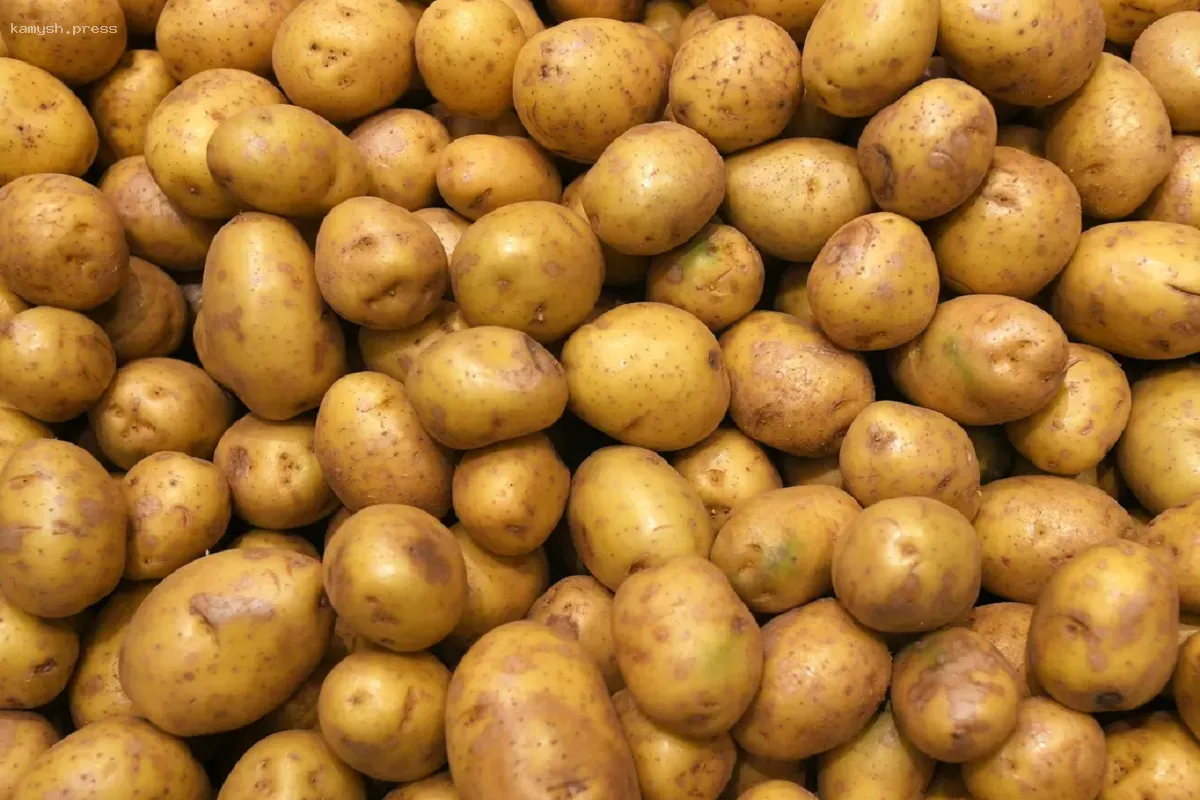 Новосибирцев предупредили о повышении цен на картофель