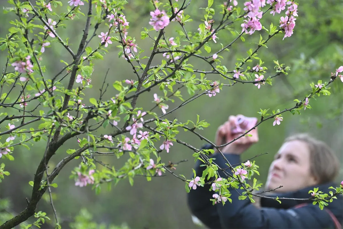 Гидрометцентр сообщил о наступлении аномально теплой погоды в России