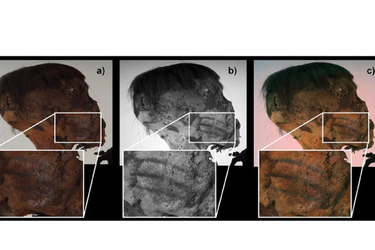 Исследователи нашли уникальные татуировки на 800-летней мумии из Анд