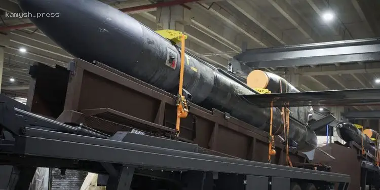 Эксперт ответил, действительно ли РФ раскрыла место производства ракет «Фламинго» (ФОТО)