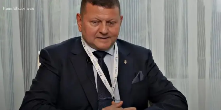 Залужный скептически оценил возможности миротворцев, которых могут отправить в Украину