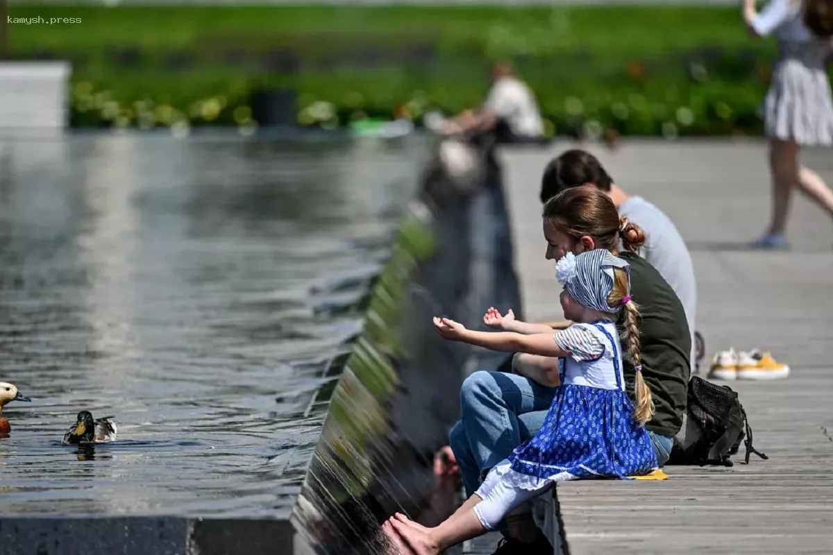 На Сахалине стартовала новая программа поддержки для молодых семей