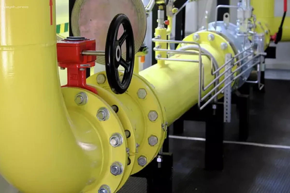 Газовая компания из Новосибирска обратилась к Путину по поводу проблем с газоснабжением в Томской области