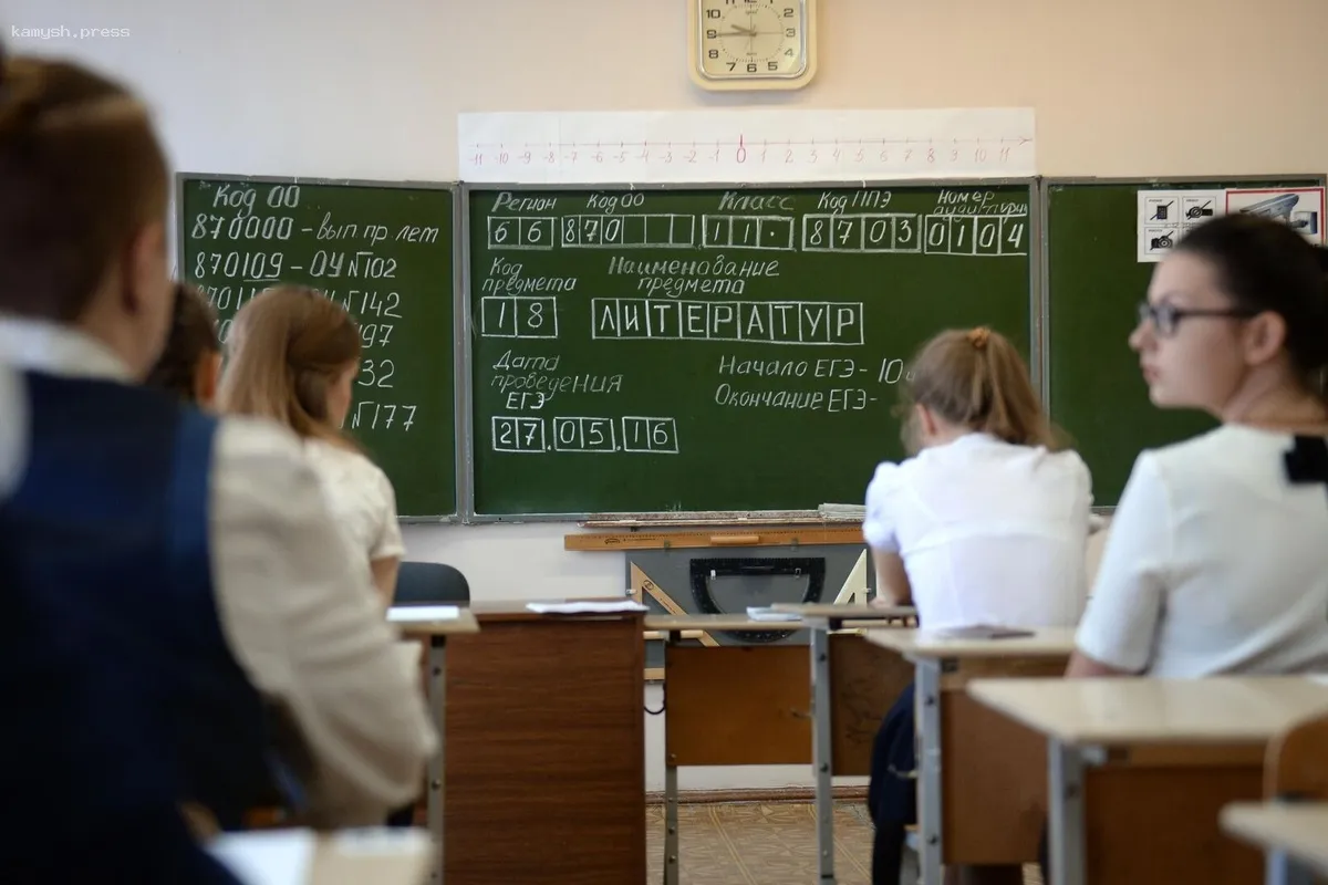 В Кургане почти 60% старшеклассников занимаются с частными преподавателями для подготовки к ЕГЭ