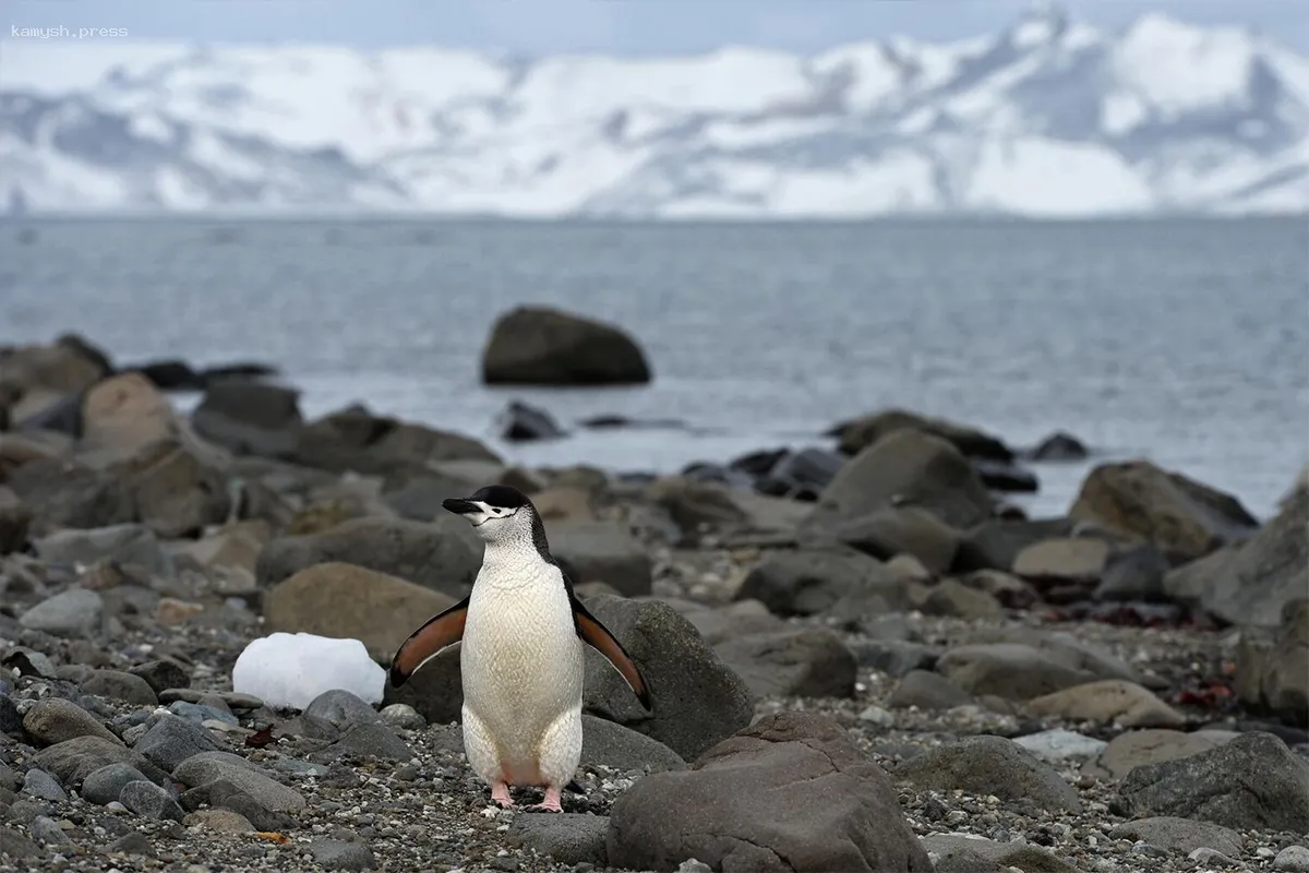 Глава Минторга Латник заявил, что Трамп стремится исключить обход пошлин для Китая