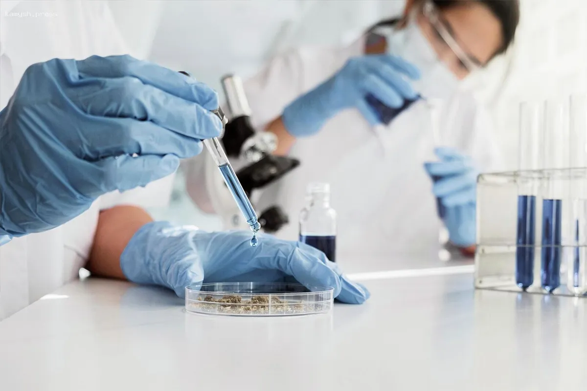 Институт цитологии НСО присоединился к консорциуму Курчатовского геномного центра