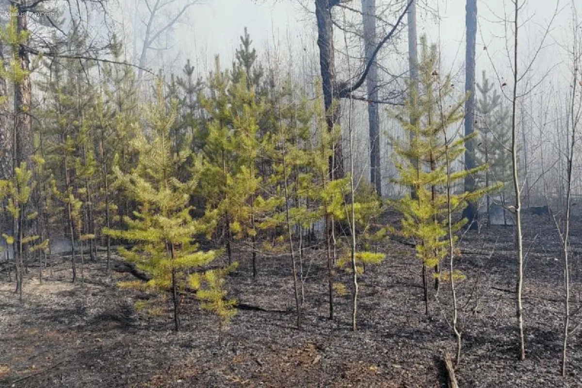 В Забайкалье не утихают поиски пропавших пожарных, которые исчезли неделю назад