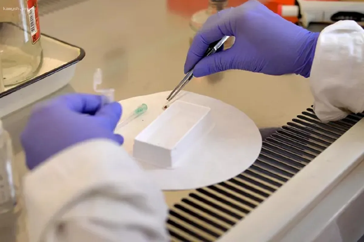 Ученые из России выявили новый генотип патогена клещевого энцефалита