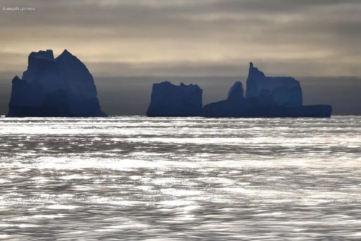 Исследователи нашли в Антарктиде таинственную реку с креветками