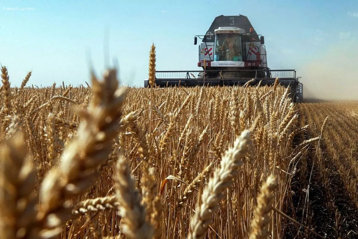 Sohu: Россия успешно вытесняет Канаду с рынка сельхозпродукции