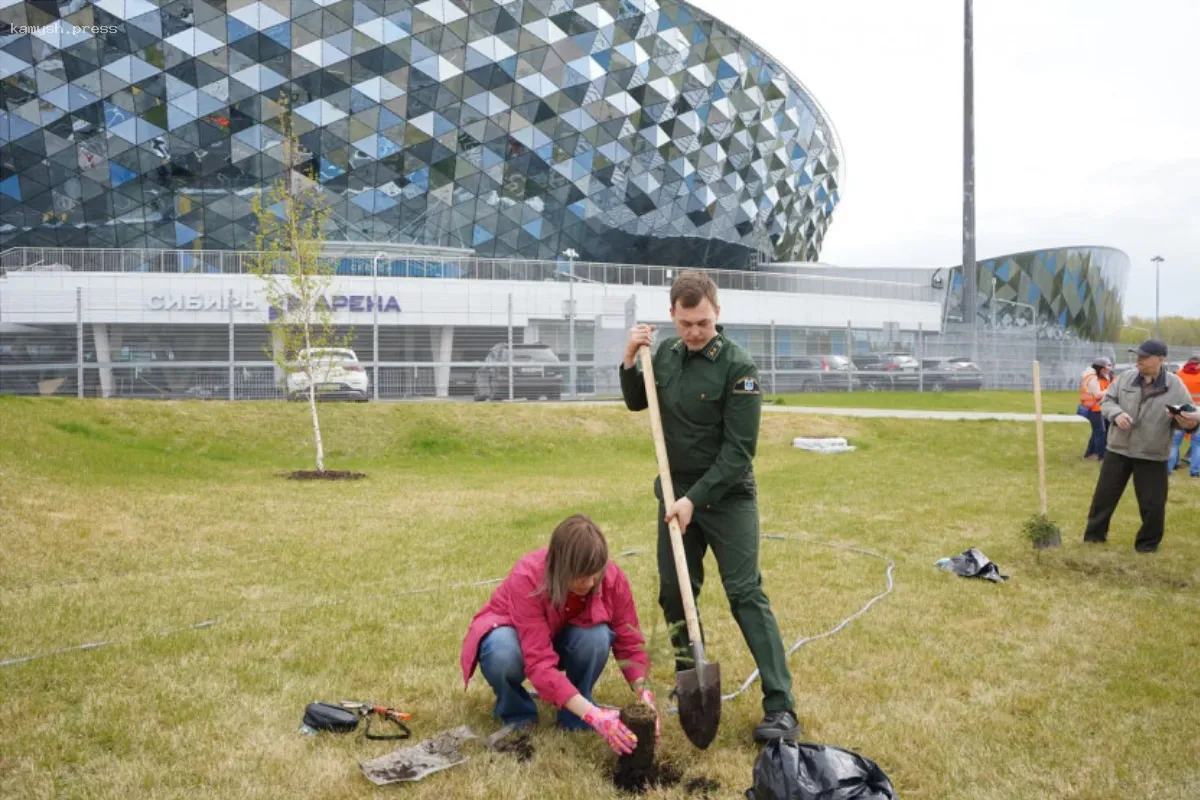 В Новосибирске у спортивного комплекса «Сибирь-Арена» в рамках акции «Сад Памяти» высадили 80 молодых елей
