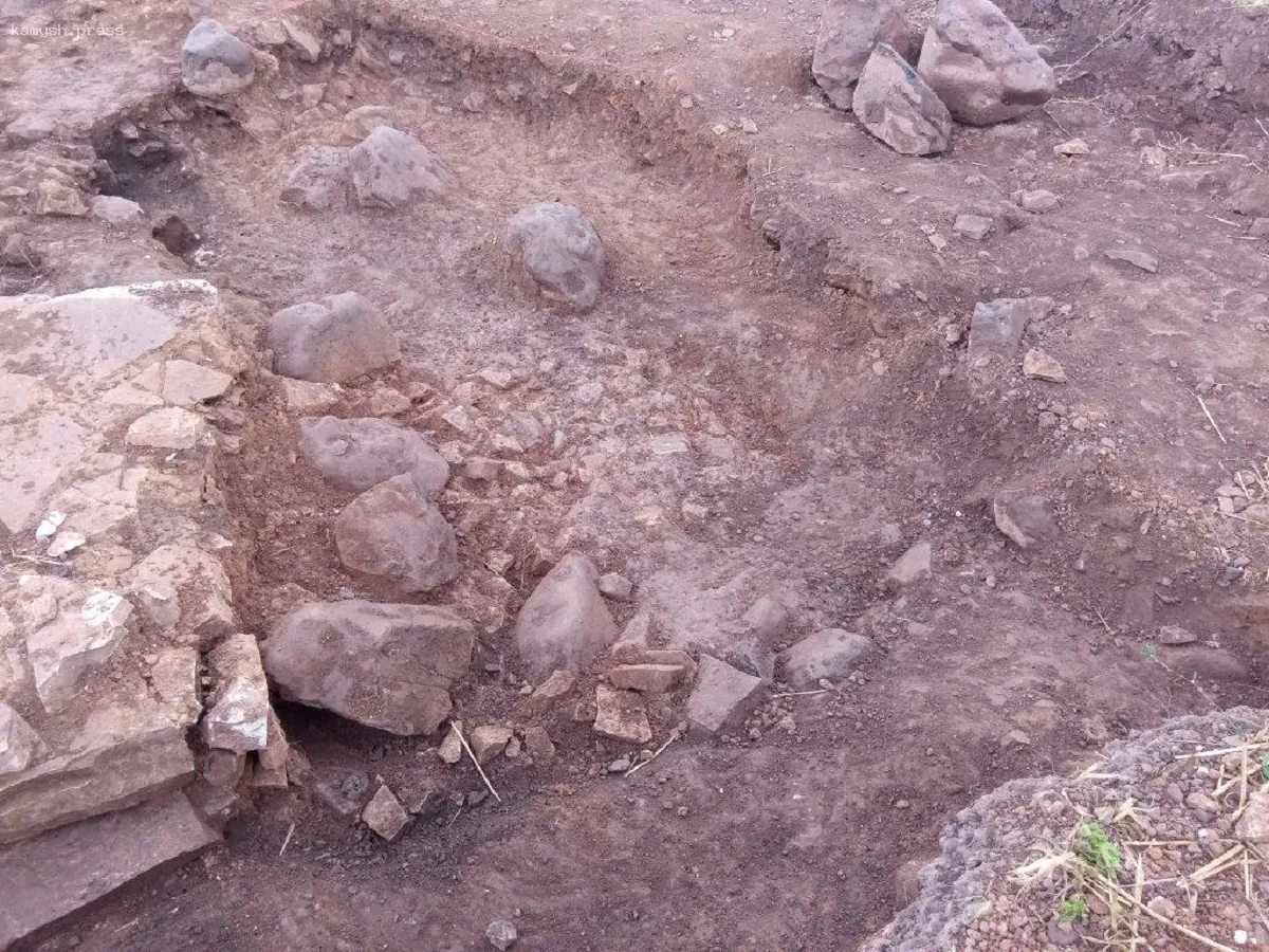 Исследователи подтвердили бои гладиаторов с львами