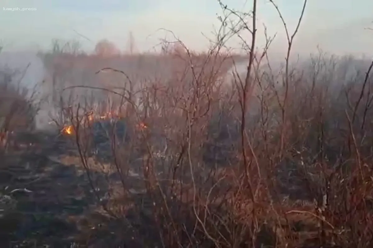 В Туве установлены виновники разрушительного пожара