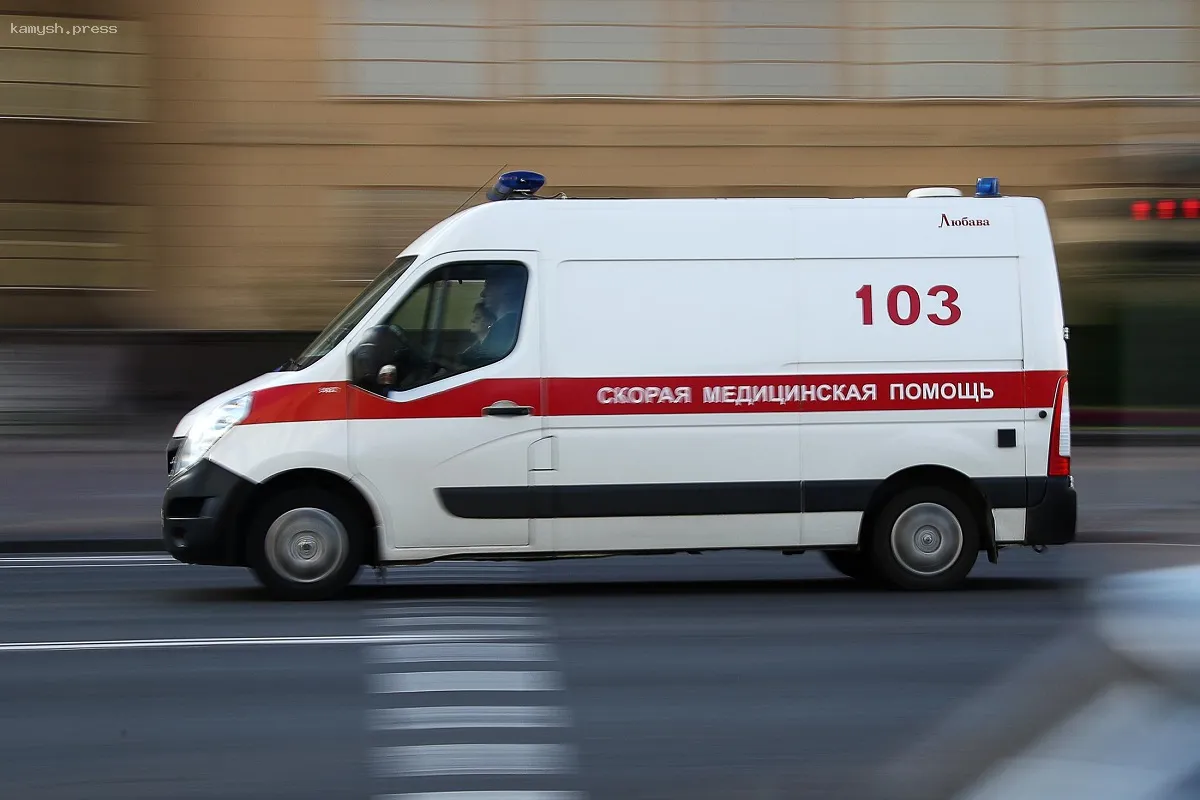 В Москве мужчина случайно ранил девочку, стреляя в собаку