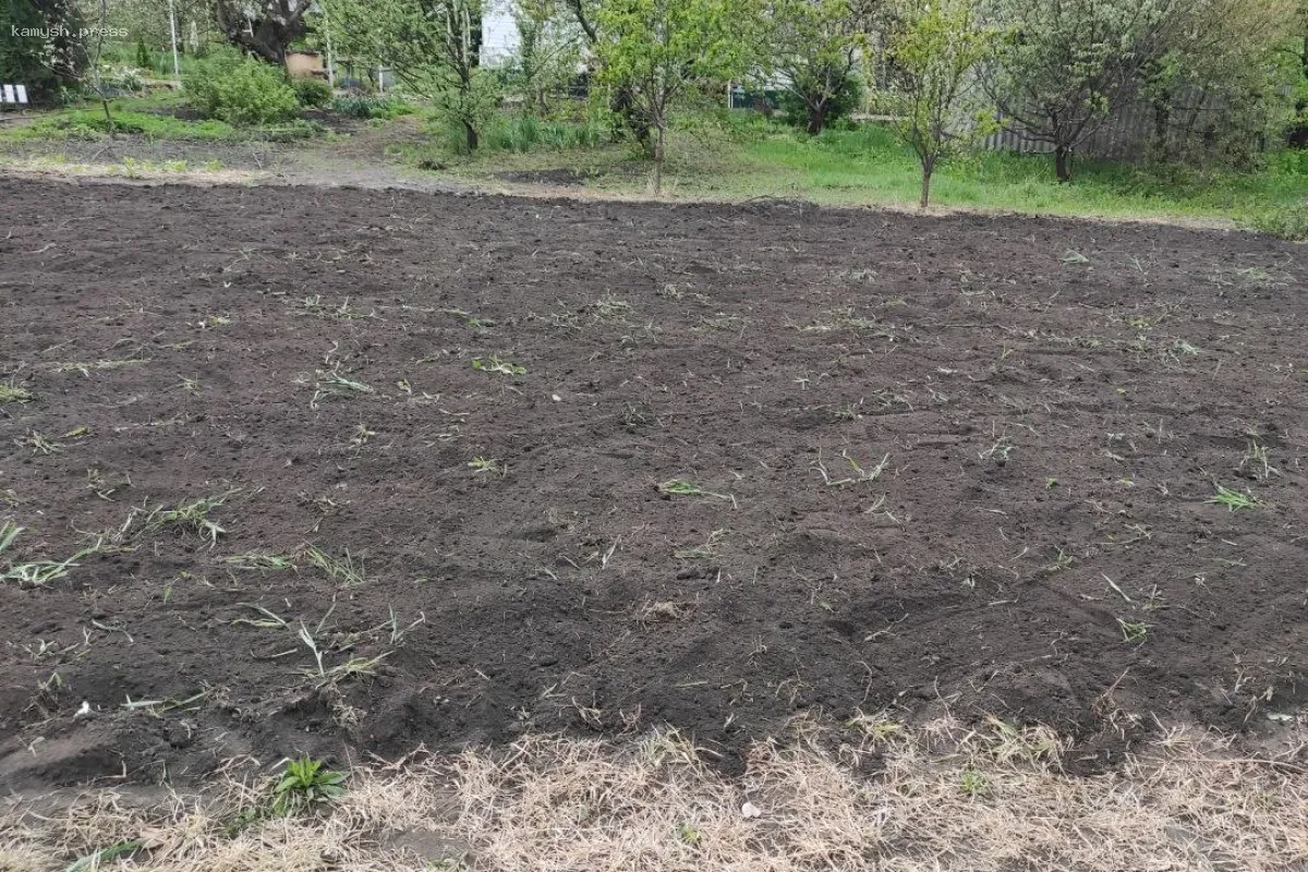 Доктор Елиашевич раскрыла основные проблемы со здоровьем у дачников