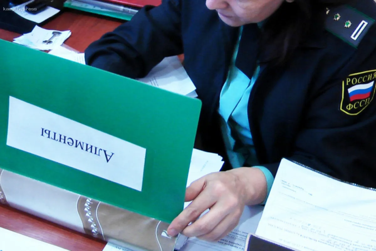 Новосибирец, задолжавший 2,5 миллиона рублей алиментов, распрощался с долей в квартире