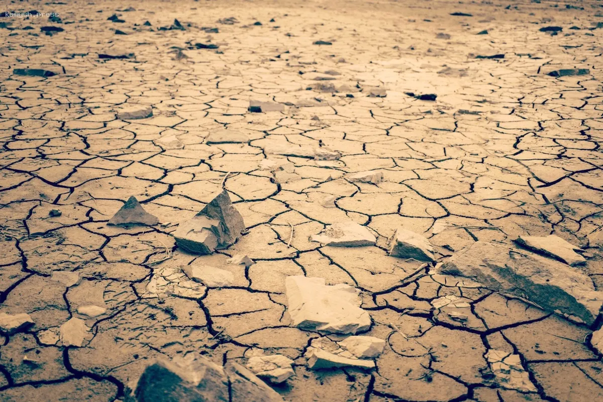 Мощный суперкомпьютер World One вызывает опасения: к 2050 году могут исчезнуть люди